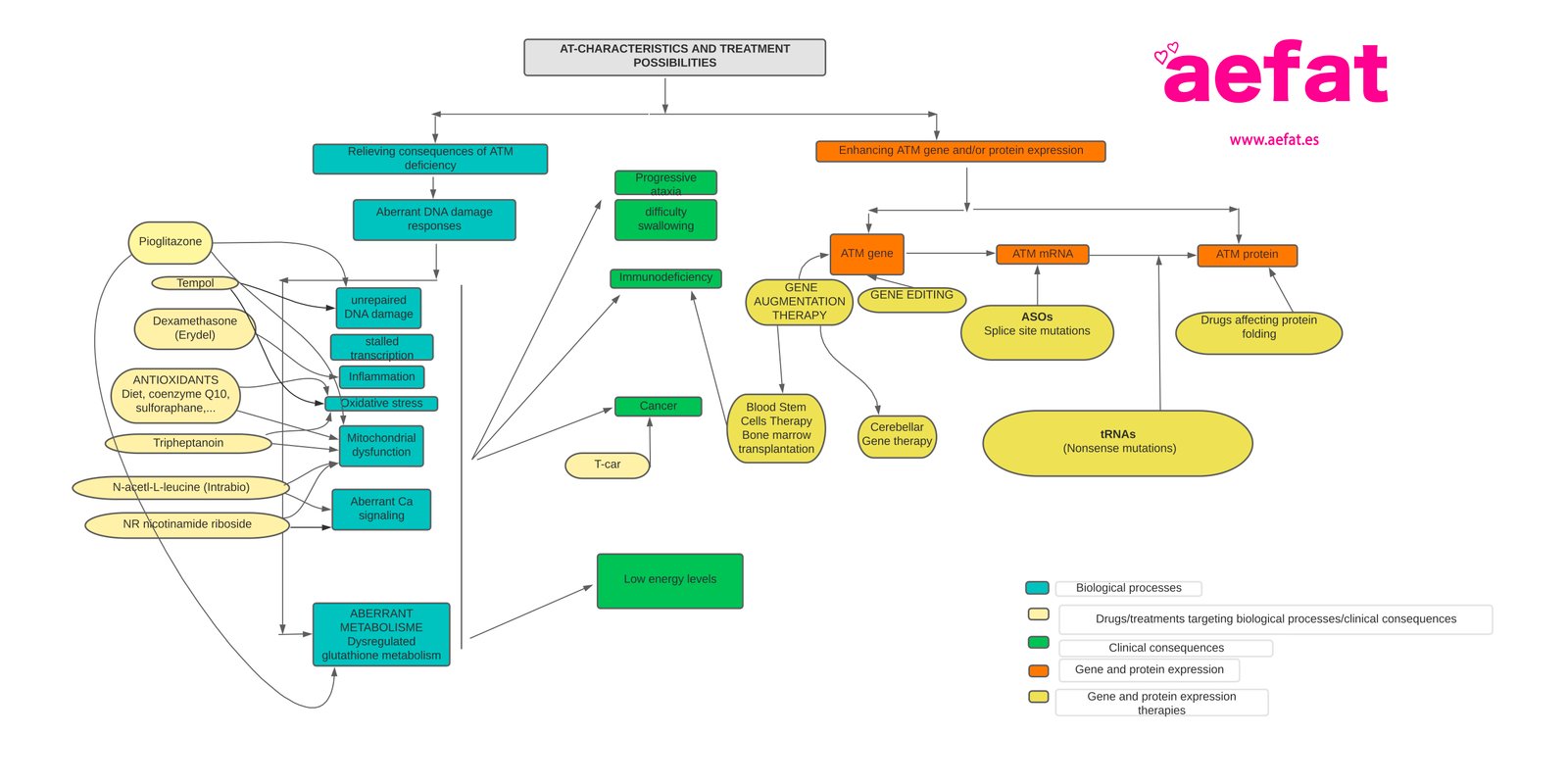 AT TREATMENT POSSIBILITIES última versión 17 01 24